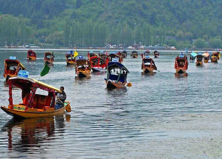 Shikara Festival